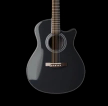 Acoustic Guitar