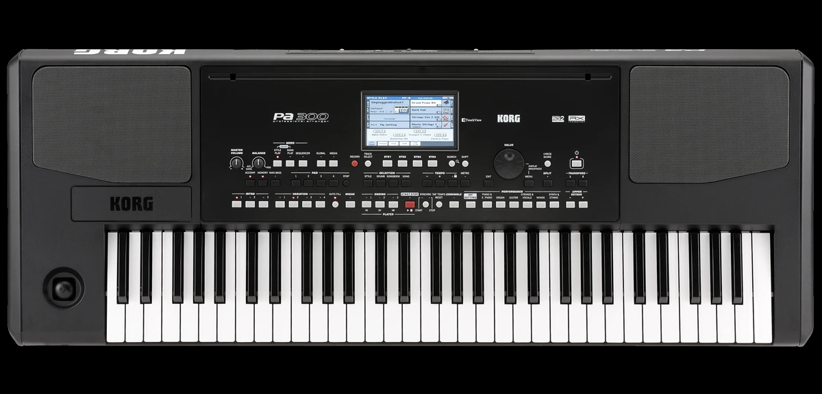 KORG PA-300