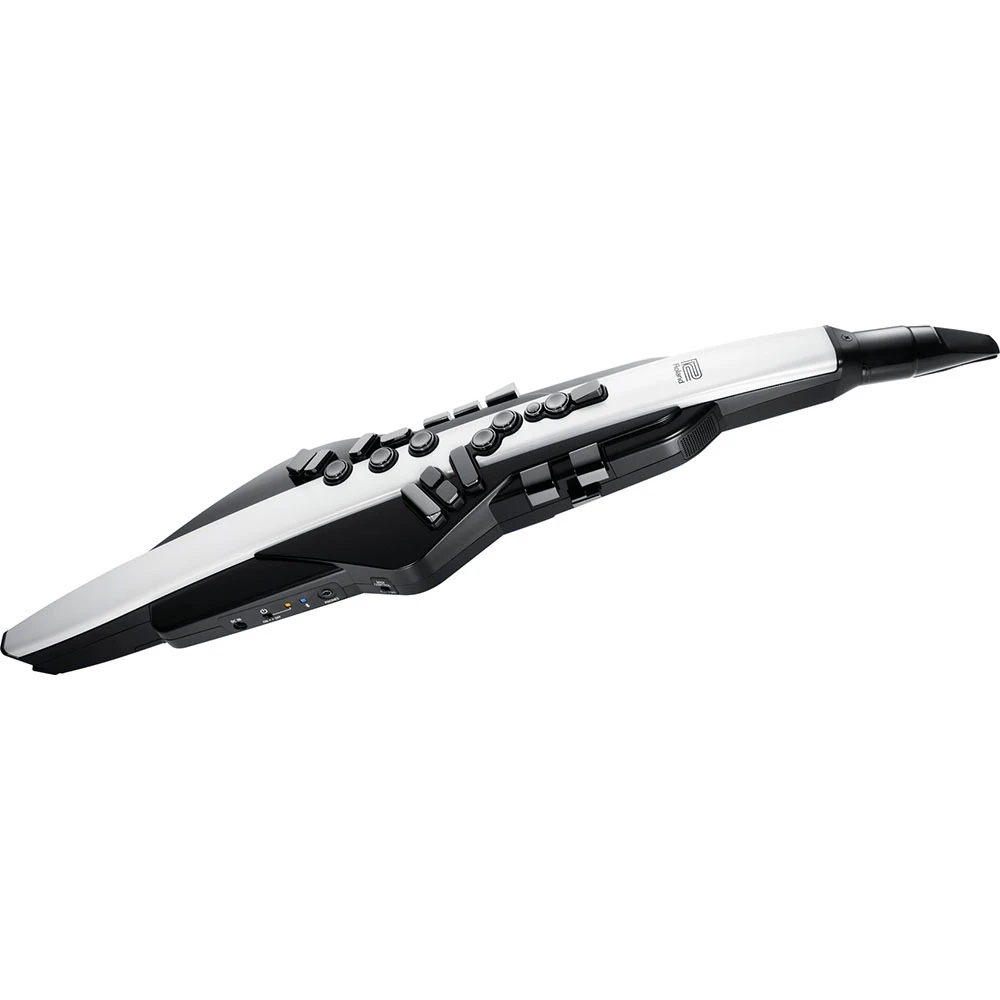 Roland AE-20 Aerophone Digital Wind Instrument
