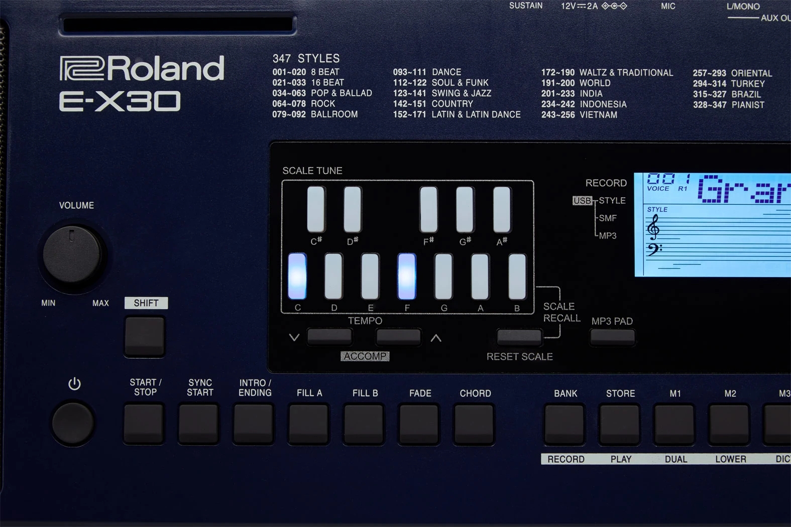 Roland E-X30 Arranger Keyboard