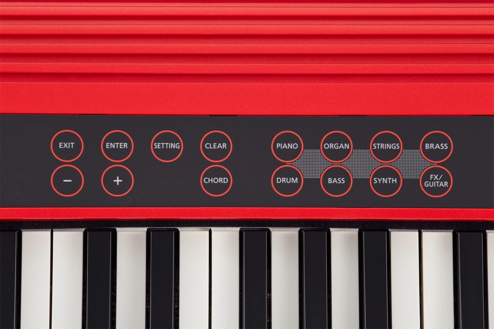 Roland GO-61K Music Creation Portable Keyboard